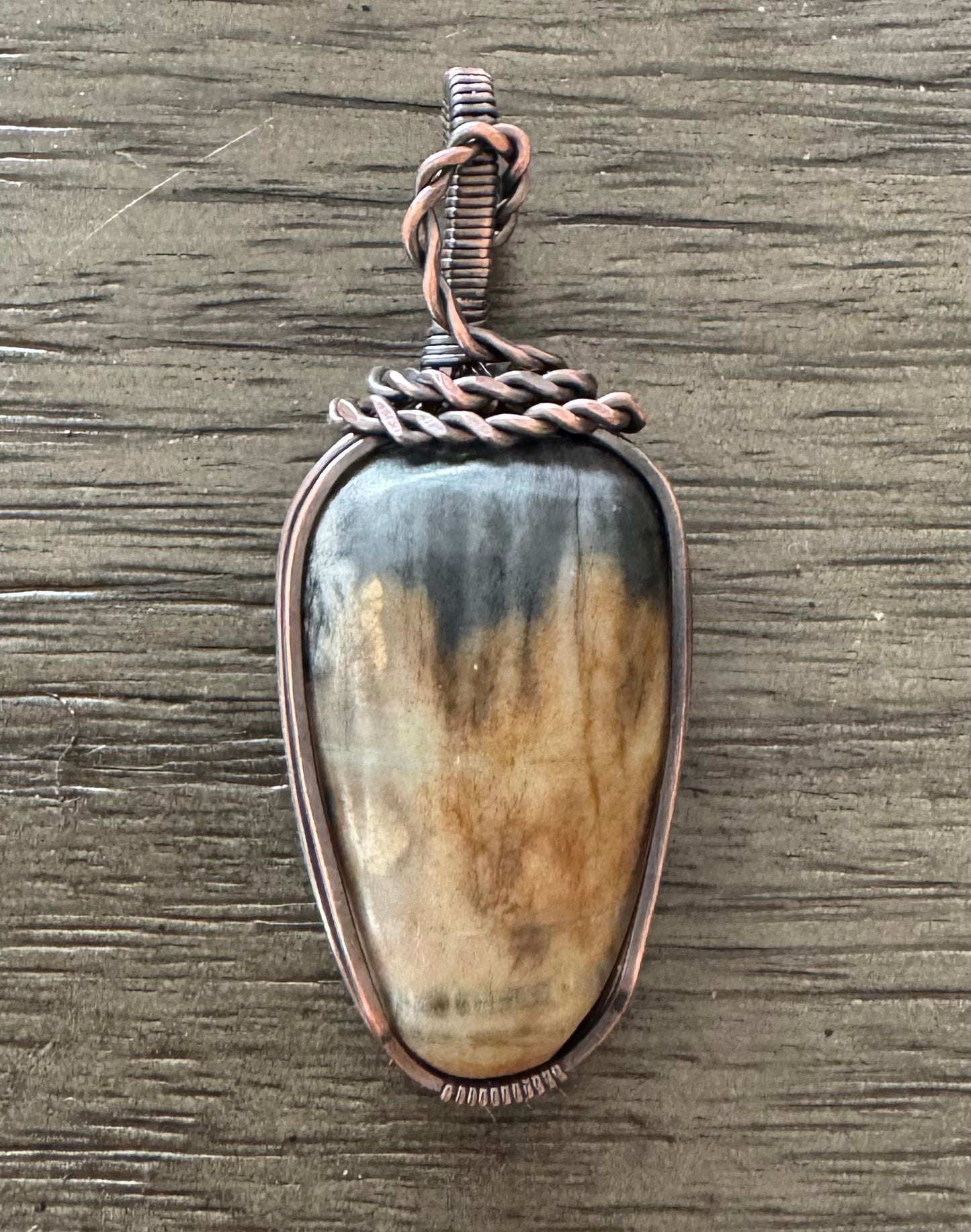 Scenic Picture Jasper Copper Pendant – Rope Accent Design
